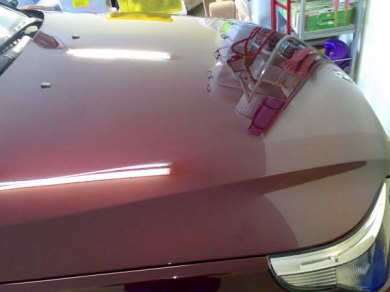 BMW Car Paint Protection: Sydney Mobile Paint Repair Northern Beaches